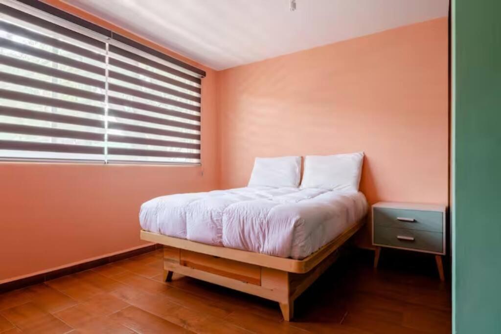 Narvarte Xola Pink Entire Fancy Apartment Mexico City