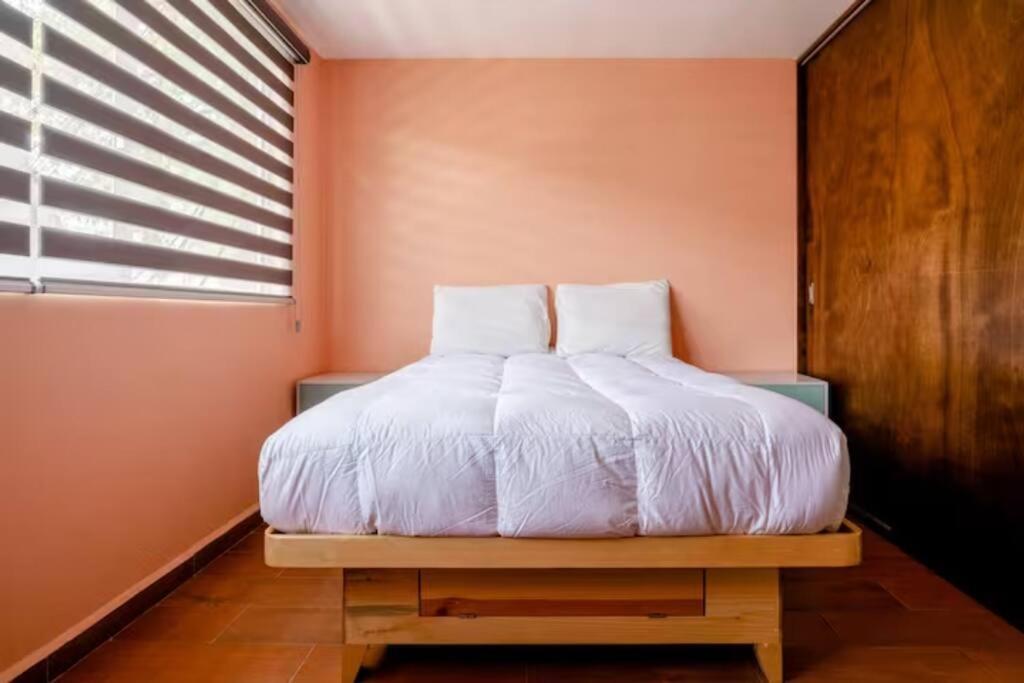 Narvarte Xola Pink Entire Fancy Apartment Mexico City